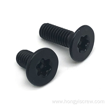 Stainless steel Black Torx Short Head Screws